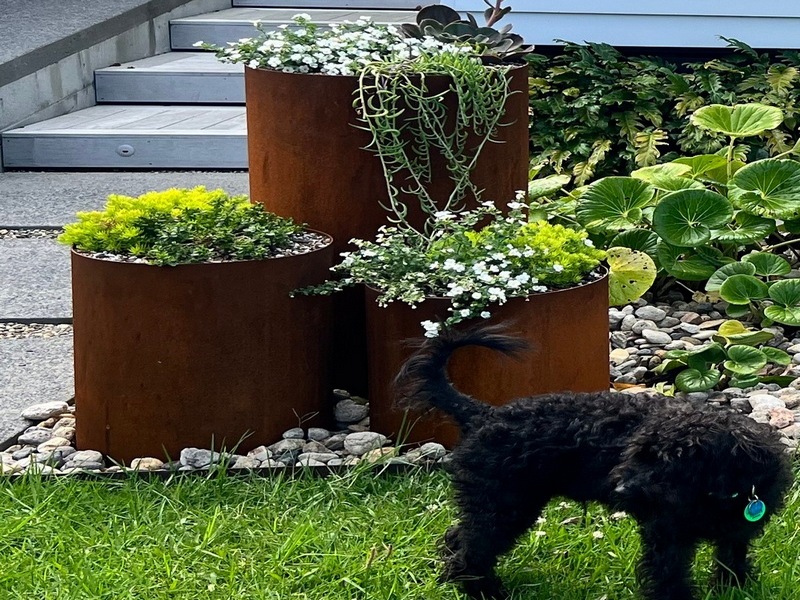 corten-riings-set-of-3-v1 corten set of tall garden plant rings
